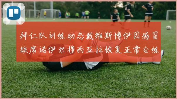 拜仁队训练动态戴维斯博伊因感冒缺席诺伊尔穆西亚拉恢复正常合练